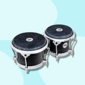 Todo sobre los bongos