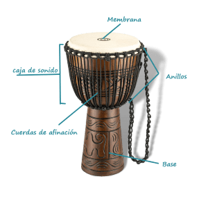 partes del djembe
